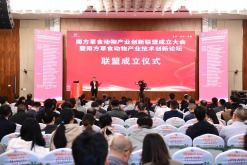 科技服務賦能創新發展 中國高新網引領科技技術服務新篇章